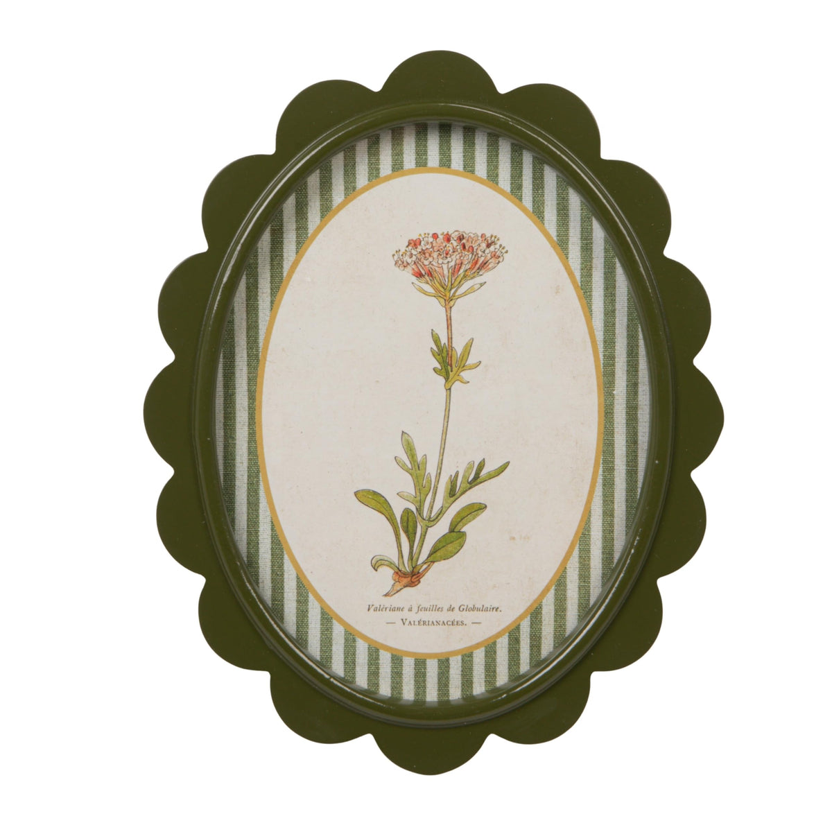 9-Piece Scalloped Wood-Framed Wall Art Set