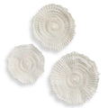 Uttermost Ocean Gems 20.5 Inch Wall Decor (Set of 3) 04351