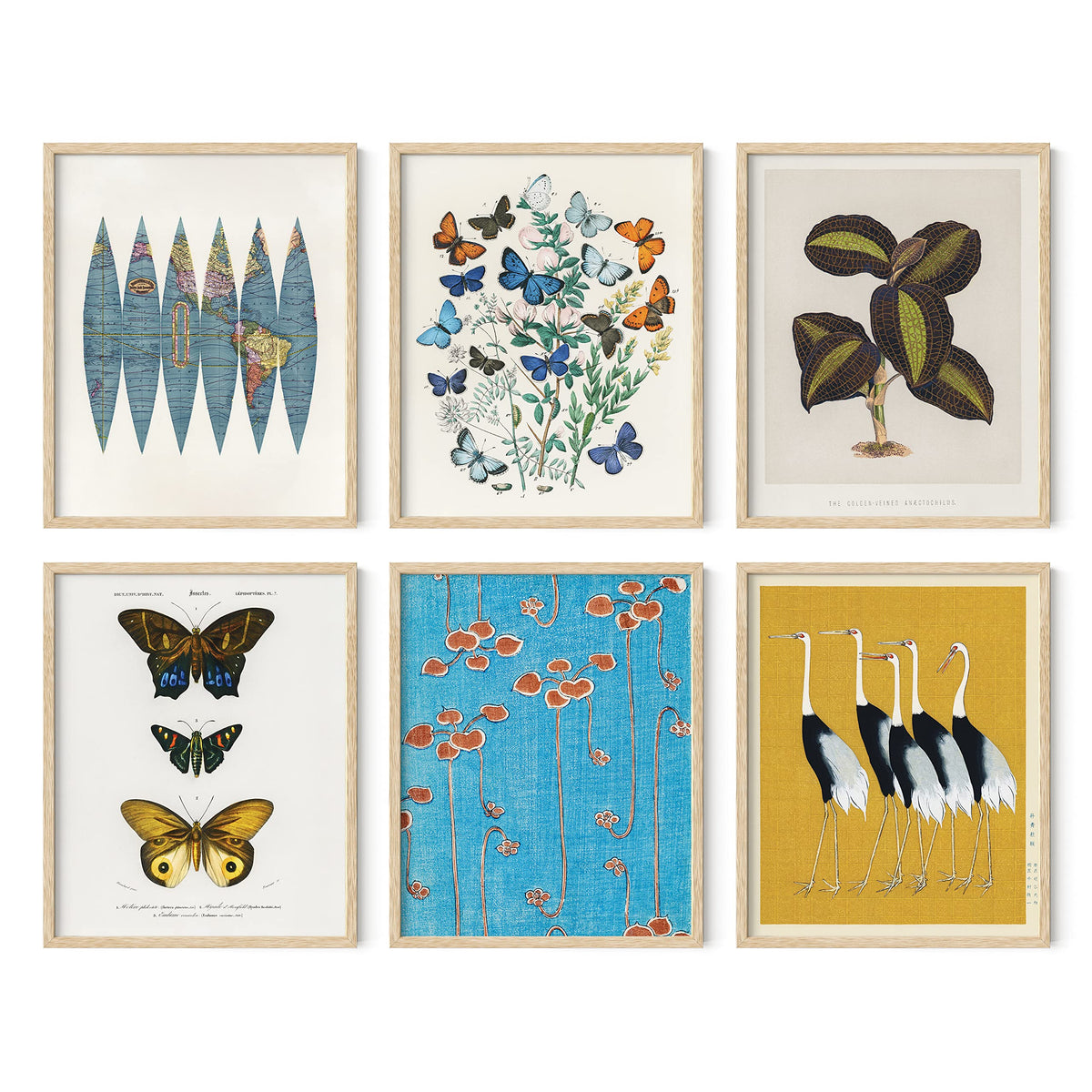 Gallery Wall Art Set of 6