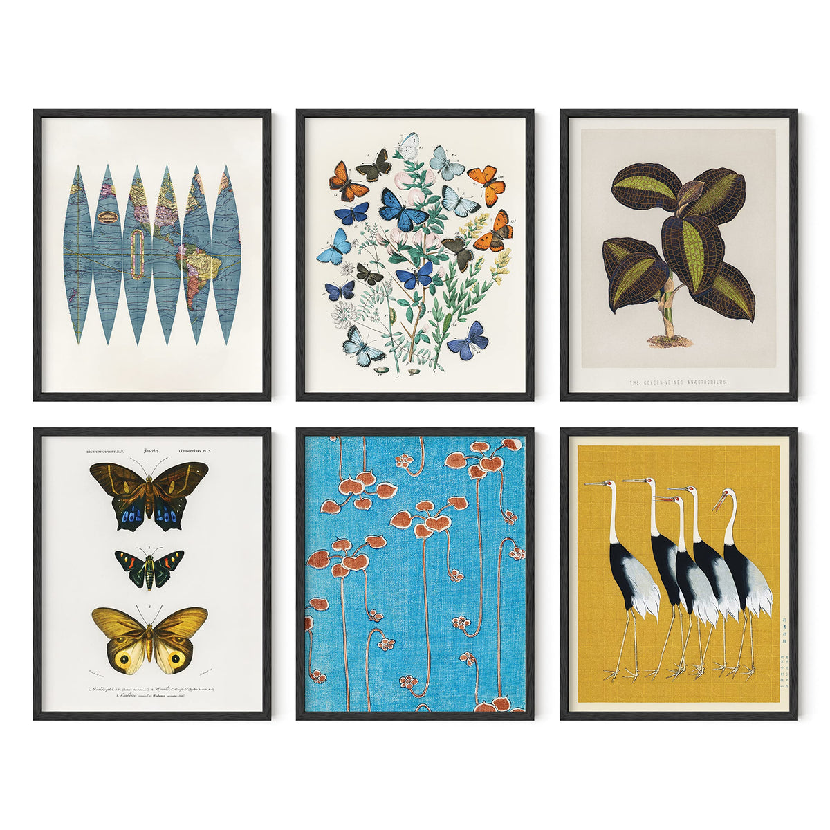 Gallery Wall Art Set of 6