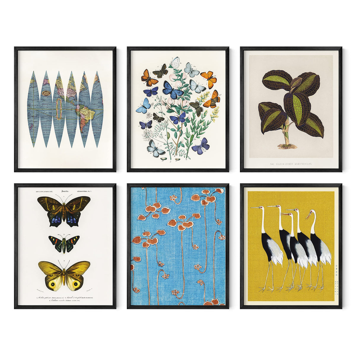 Gallery Wall Art Set of 6