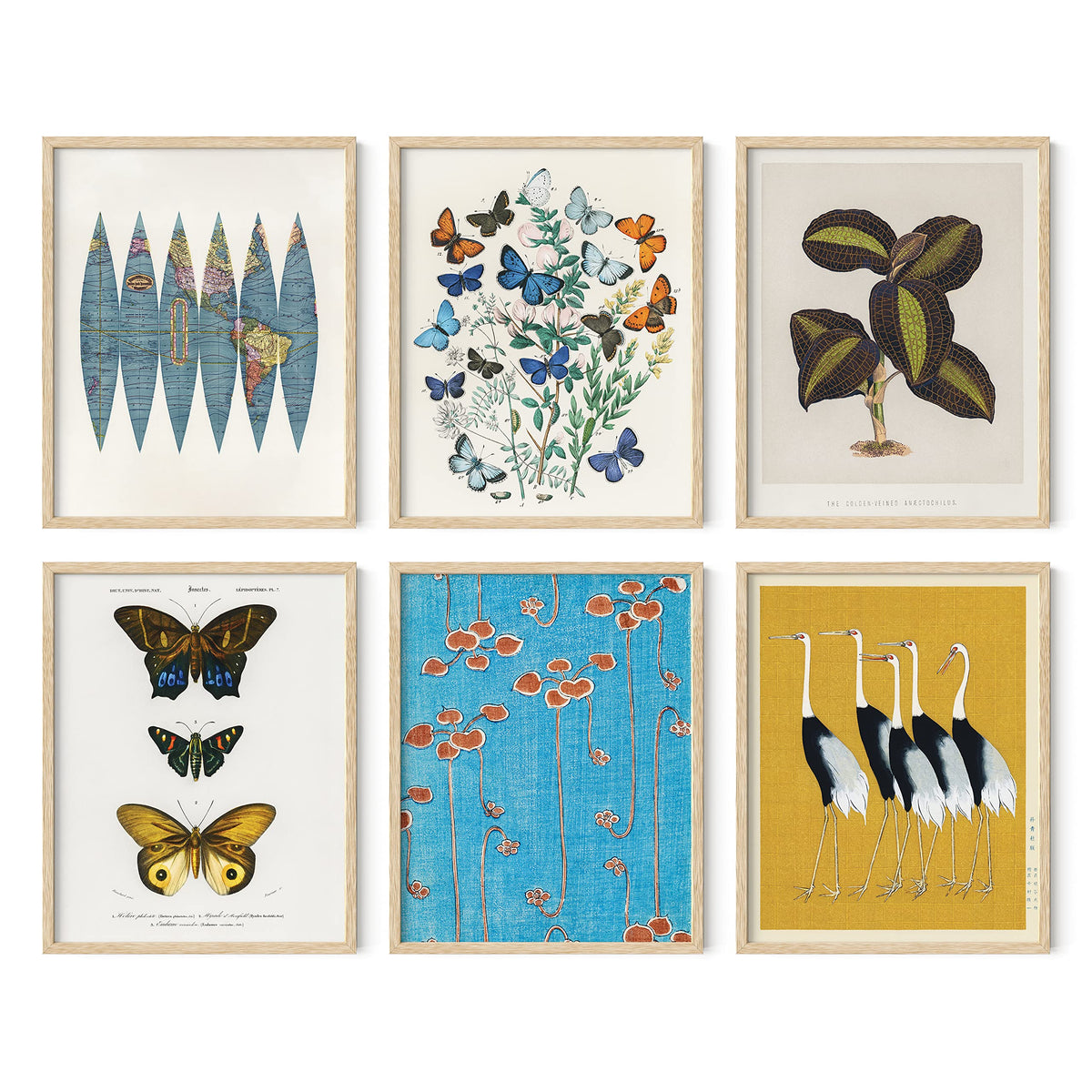 Gallery Wall Art Set of 6