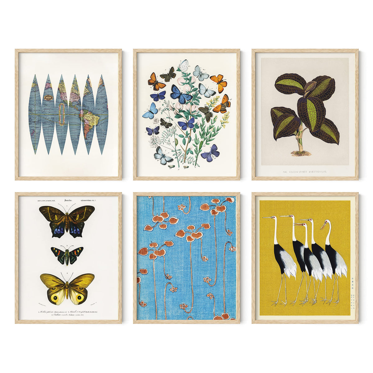 Gallery Wall Art Set of 6