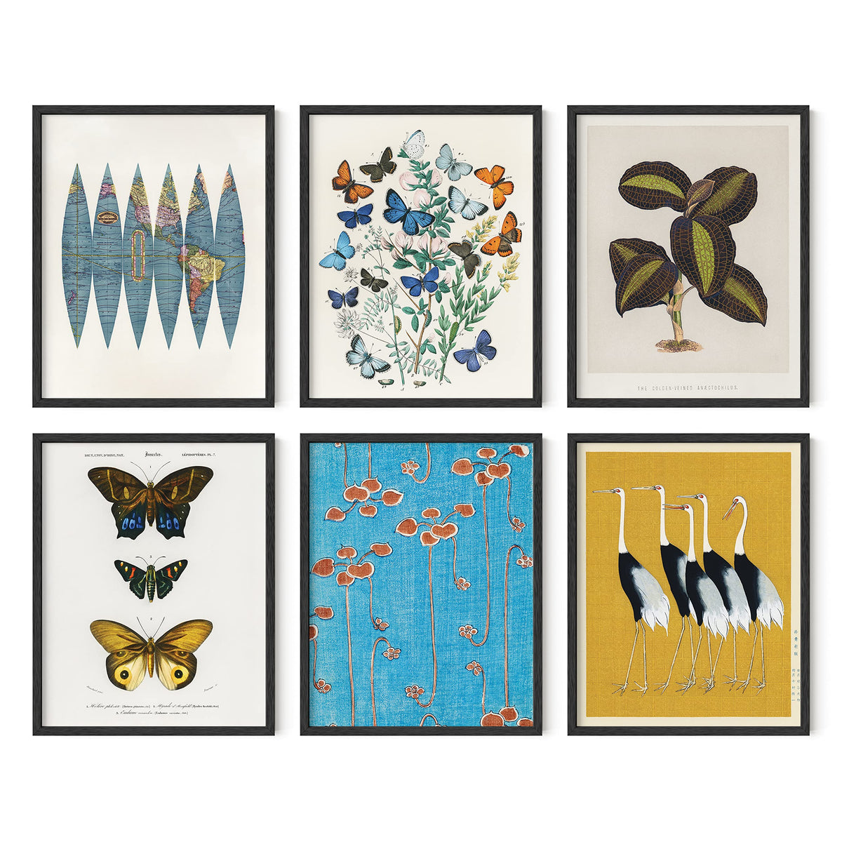 Gallery Wall Art Set of 6